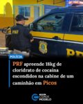 A apreensão ocorreu após abordagem de um caminhão na BR-316 no domingo (24) no município de Picos, o veículo foi apontado com forte suspeita de ilícito pelo serviço de análise de risco da Polícia Federal, que informou à Polícia Rodoviária Federal.

Inicialmente o caminhão transportava 58m³ de madeira ilegal escondidos, a madeira estava envolvida em fardos plásticos, dando a entender que a carga eram apenas os fardos plásticos.

Durante a abordagem foram encontradas ainda 09 unidades de anfetaminas na cabine do caminhão, a substância ilegal é utilizada para inibir o sono em longas viagens.

Durante a conferência de toda a carga do caminhão, a equipe encontrou ainda 18 tabletes de cloridrato de cocaína escondidos em compartimento oculto do veículo, totalizando 18kg da droga.

A droga é proveniente do estado do Pará e tinha como destino o estado de Pernambuco.

Os ocupantes do caminhão, dois homens de 36 e 76 anos de idade que já haviam sido autuados pelos crimes de transporte ilegal de produto florestal e porte de droga para consumo pessoal, irão responder também pelo tráfico de drogas. Fonte: PRF