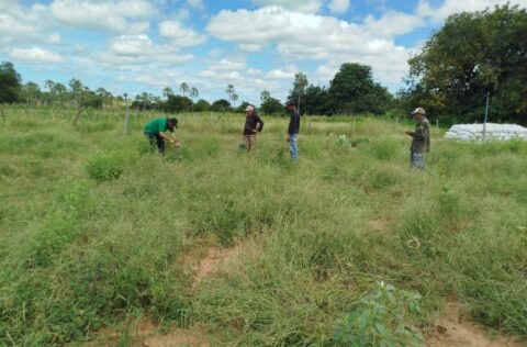 Prefeitura de Picos inicia atualização e cadastramento do CCIR para produtores rurais