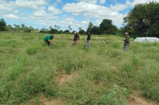 Prefeitura de Picos inicia atualização e cadastramento do CCIR para produtores rurais
