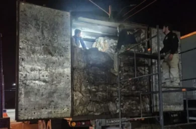 PRF apreende quase 58 m³ de madeira ilegal e anfetaminas escondidas em carga de reciclagem na BR-316 em Picos