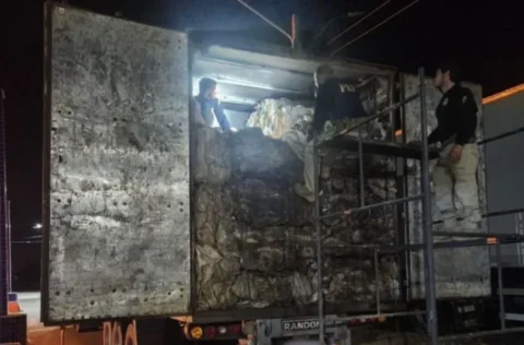PRF apreende quase 58 m³ de madeira ilegal e anfetaminas escondidas em carga de reciclagem na BR-316 em Picos