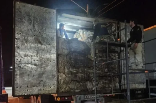 PRF apreende quase 58 m³ de madeira ilegal e anfetaminas escondidas em carga de reciclagem na BR-316 em Picos
