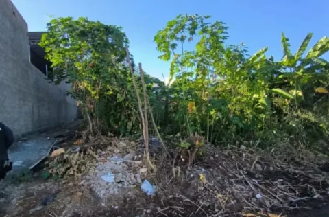 Homem de 38 anos é encontrado morto com tiro na cabeça em terreno baldio em Floriano