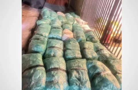 Motorista que transportava 320 kg de maconha sofre acidente e é preso pela PRF em Monsenhor Hipólito