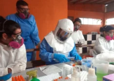 Paraná confirma dois casos de hantavírus e investiga outros 11