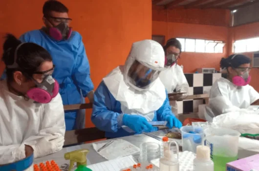 Paraná confirma dois casos de hantavírus e investiga outros 11