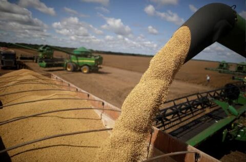 Balança Comercial do Piauí registra superávit de R$ 573 milhões no mês de abril