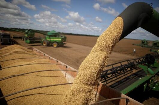 Balança Comercial do Piauí registra superávit de R$ 573 milhões no mês de abril