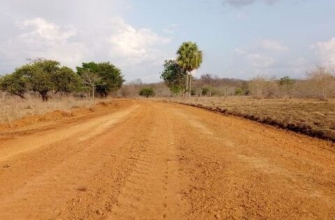 Governo do Estado inicia a manutenção de estradas vicinais em Demerval Lobão e reforça mobilidade no campo