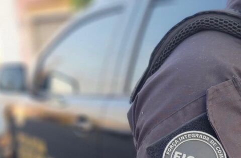 PF prende 12 pessoas e cumpre mandados de busca no litoral do PI
