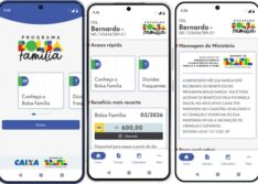 Aplicativo do Bolsa Família terá novidades a partir de segunda (18); saiba quais
