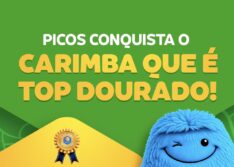 Picos conquista reconhecimento no Selo UNICEF e recebe “Carimba que é Top Dourado”