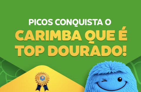 Picos conquista reconhecimento no Selo UNICEF e recebe “Carimba que é Top Dourado”