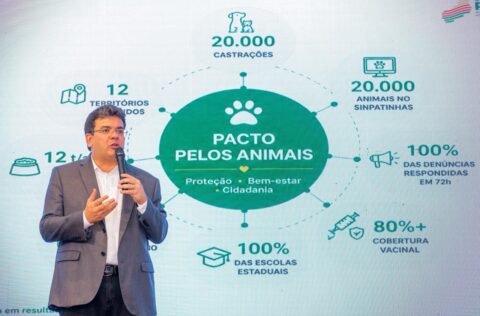 Governo do Piauí lança Pacto pelos Animais que prevê 20 mil castrações, combate a maus‑tratos e ações integradas em todos os municípios