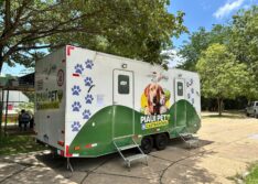 Castramóvel realiza mais de 3 mil cirurgias e leva atendimento gratuito a 31 municípios em um ano