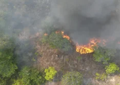 Governo do Estado lança Pacto Piauí Sem Queimadas para fortalecer a prevenção e combate aos incêndios florestais