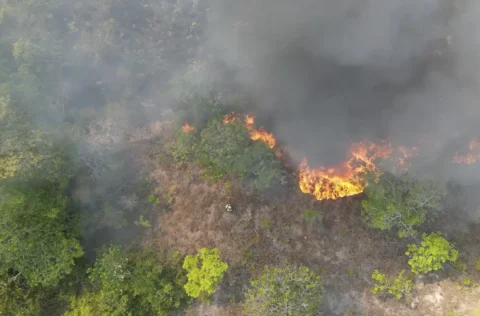 Governo do Estado lança Pacto Piauí Sem Queimadas para fortalecer a prevenção e combate aos incêndios florestais