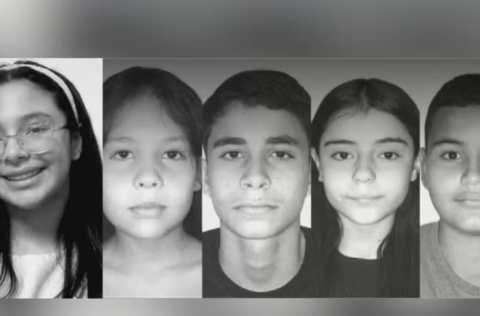Cinco estudantes morrem em acidente entre van escolar e caminhão em Goiás