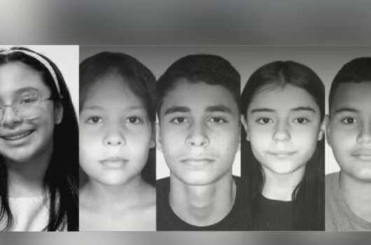 Cinco estudantes morrem em acidente entre van escolar e caminhão em Goiás