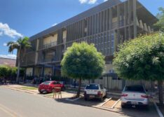 Distribuição de ração arrecadada no Picos Cidade Junina beneficia protetores de animais em situação de rua
