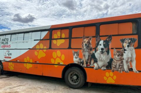 Busão da Castração inicia atendimentos gratuitos para cães e gatos em Picos