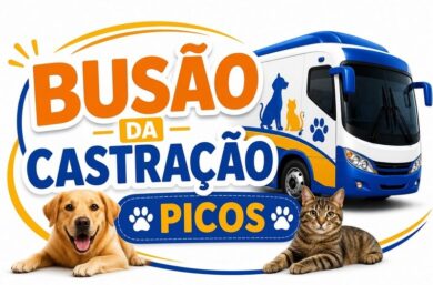 Cadastro para o Busão da Castração é aberto com oferta de três mil procedimentos gratuitos em Picos e Região