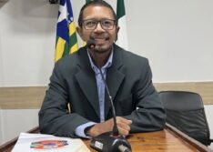 Vereador morre após ser atacado por enxame de abelhas no Piauí