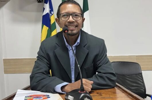 Vereador morre após ser atacado por enxame de abelhas no Piauí