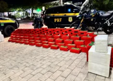 PRF apreende quase meia tonelada de cocaína na BR-135, no Sul do Piauí