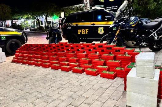 PRF apreende quase meia tonelada de cocaína na BR-135, no Sul do Piauí