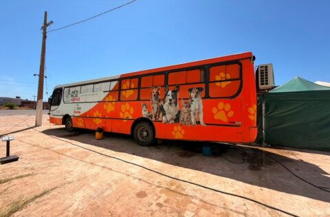 Busão da Castração abre 200 novas vagas e ultrapassa a marca de 2.300 atendimentos em Picos