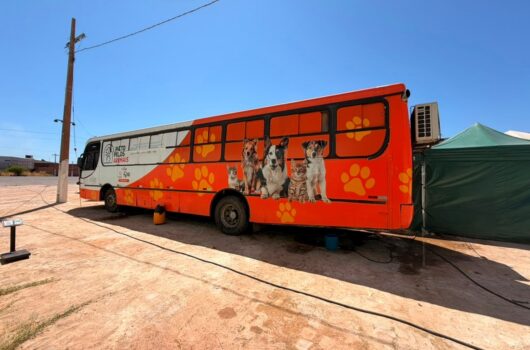 Busão da Castração abre 200 novas vagas e ultrapassa a marca de 2.300 atendimentos em Picos