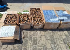 Polícia encontra 150 mil comprimidos de “rebite” em caminhão que transportava 475 kg de cocaína em Buriti dos Lopes