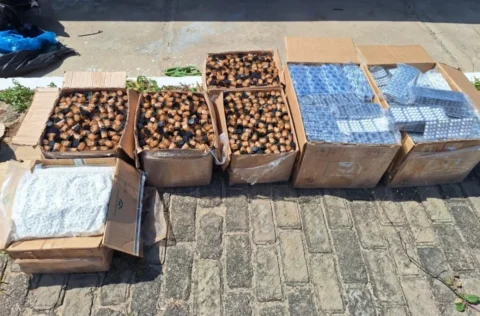 Polícia encontra 150 mil comprimidos de “rebite” em caminhão que transportava 475 kg de cocaína em Buriti dos Lopes