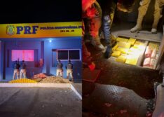 Motorista é preso com 273 kg de drogas escondidos em carreta na BR-407 em Picos