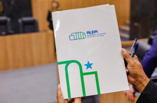 Criação de campanha de prevenção contra acidentes domésticos começa a tramitar na Alepi