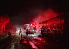 Ônibus de turismo pega fogo e fica destruído na BR-343 em Buriti dos Lopes