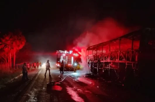 Ônibus de turismo pega fogo e fica destruído na BR-343 em Buriti dos Lopes