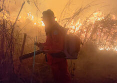 Incêndios em vegetação crescem 137,5% no Piauí e acendem alerta para estiagem