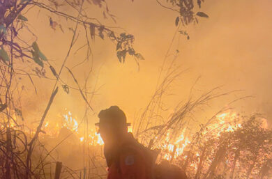 Incêndios em vegetação crescem 137,5% no Piauí e acendem alerta para estiagem