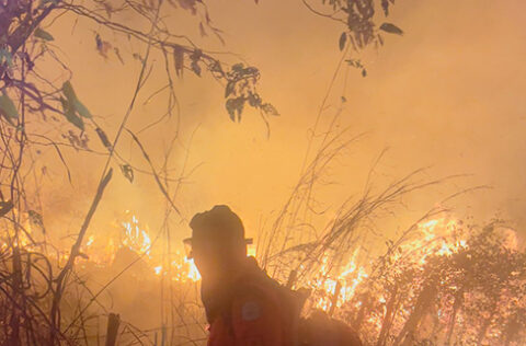Incêndios em vegetação crescem 137,5% no Piauí e acendem alerta para estiagem