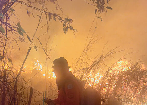Incêndios em vegetação crescem 137,5% no Piauí e acendem alerta para estiagem