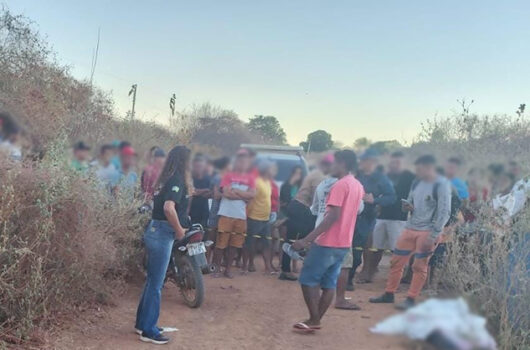 Mulher morre após moto colidir com porco em estrada no Sul do Piauí