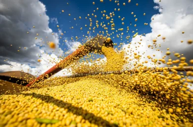 Produção agrícola brasileira superou R$ 927 bilhões em 2025