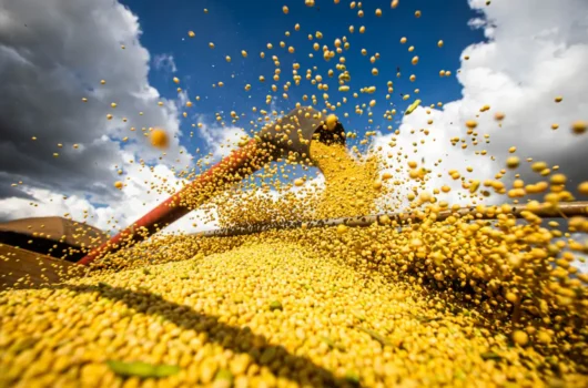 Produção agrícola brasileira superou R$ 927 bilhões em 2025