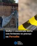 Uma mulher chamada Patrícia Rodrigues dos Santos, de 38 anos, foi encontrada morta na manhã desta quinta-feira (3) em um terreno na Rua Benedito de Lima e Silva, em Parnaíba, no litoral do Piauí. Segundo a Polícia Militar, a vítima tinha uma lesão no pescoço provocada por um objeto perfurante.

De acordo com o 27º Batalhão da Polícia Militar (27º BPM), moradores acionaram a polícia após encontrarem a mulher caída em um terreno próximo a uma residência. Ao chegar ao local, os policiais constataram que ela já estava morta.

Segundo o comandante do 27º BPM, major Galeno, a vítima apresentava uma lesão no pescoço que pode ter sido causada por uma faca de mesa.

O comandante destacou ainda que Patrícia era usuária de drogas e possuía um companheiro preso pelo crime de tráfico de drogas.

A área foi isolada para o trabalho da Perícia Criminal. O corpo da mulher foi removido pelo Instituto Médico Legal (IML).

A Polícia Civil do Piauí vai investigar o caso para identificar possíveis suspeitos e esclarecer as circunstâncias da morte. Fonte: g1/PI