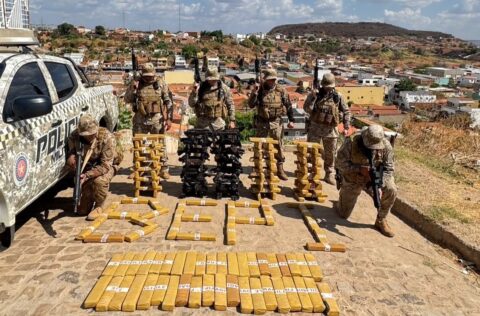 BEPI encontra 180 tabletes de maconha escondidos em área de mata em Picos