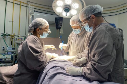 Setembro Verde: Piauí reforça conscientização sobre doação de órgãos