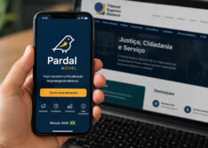 Pardal registra 168 denúncias de propaganda eleitoral irregular no Piauí