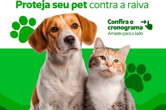 Prefeitura de Picos divulga cronograma da Campanha de Vacinação Antirrábica para cães e gatos nas zonas urbana e rural